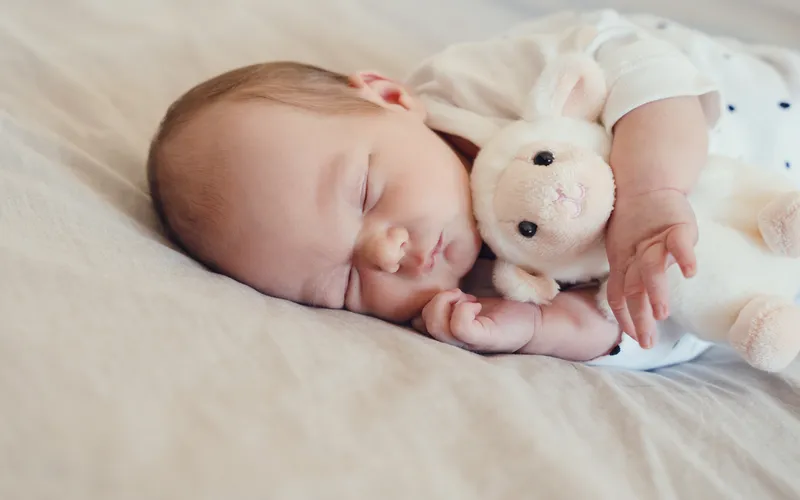 Sleeping newborn cuddled up with a soft knit mouse toy in a grey wrap