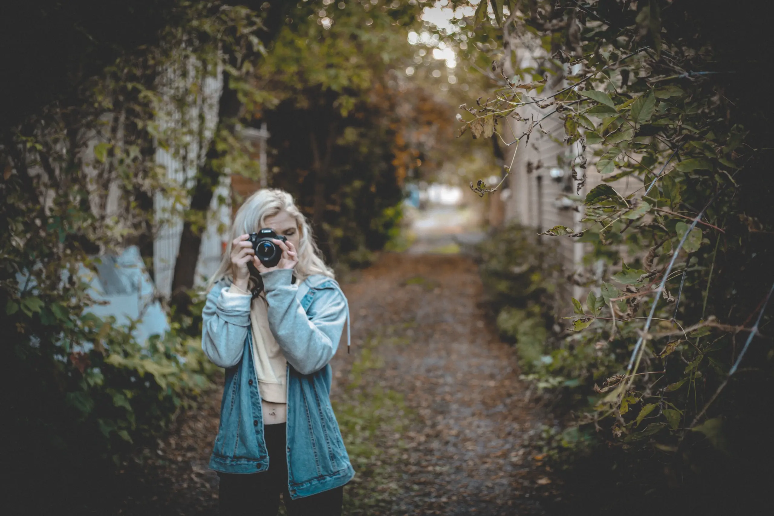 Feature image