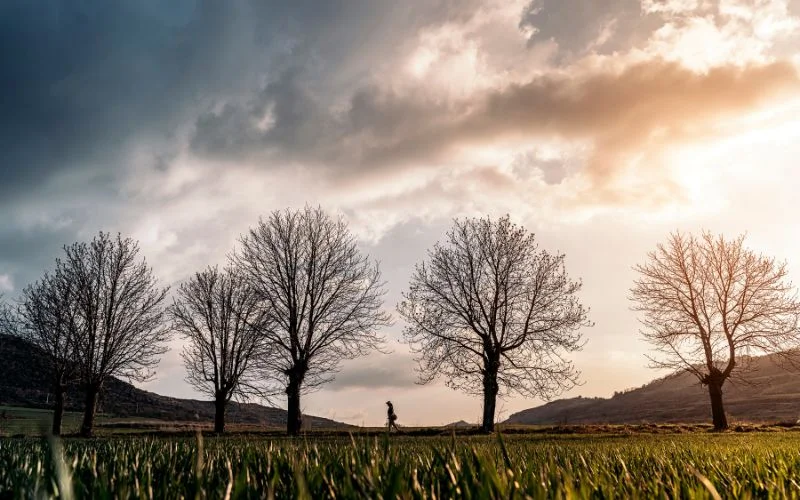 portrait vs landscape photography difference