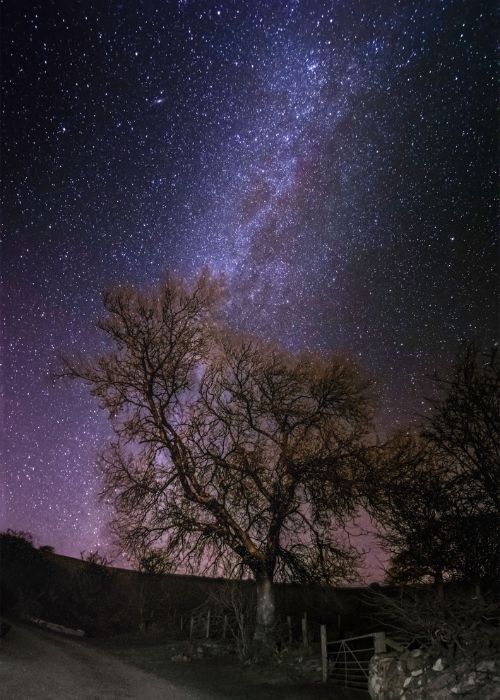 astrophotography course online