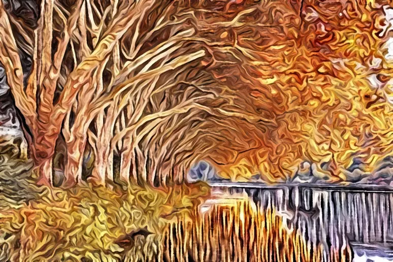 convert photo to oil painting - digital photo software suite after
