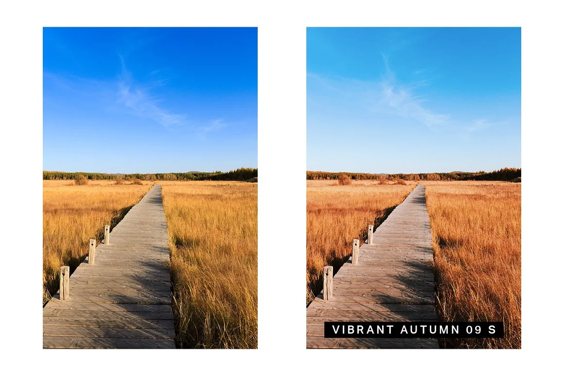 autumn preset