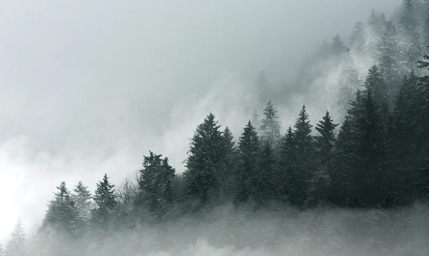 create outstanding landscapes-after