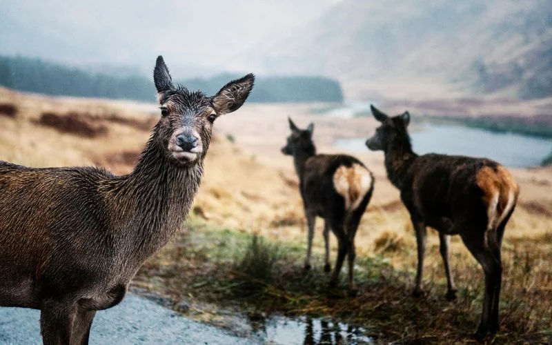 hdr photography meaning