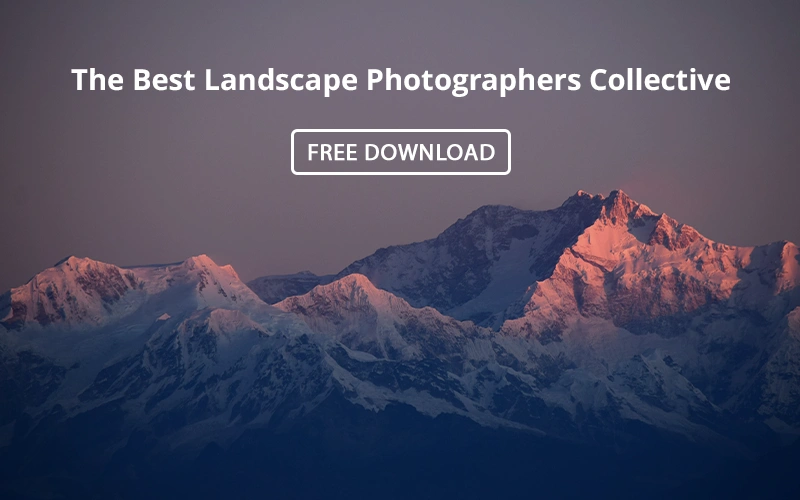 freebie banner