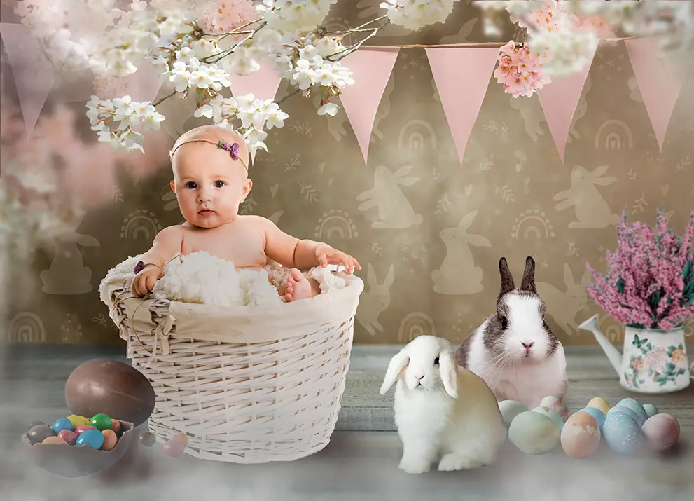 Light pink theme photo