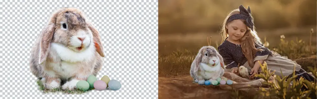 bunny easter png, easter bunny overlay, free bunny overlays, free cute bunny overlays