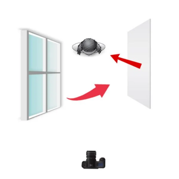 boudoir lighting setup