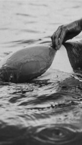 Nude Beach Photography Ideas: Top 26 Inspiring Picks (2025)