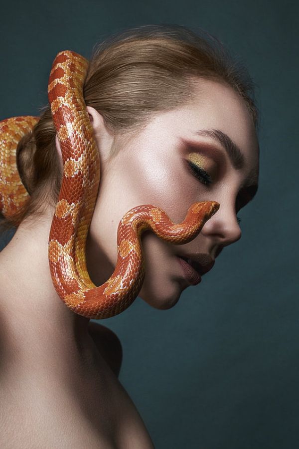 photoshop retouch panel tool