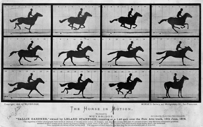 learn the history of time lapse photography