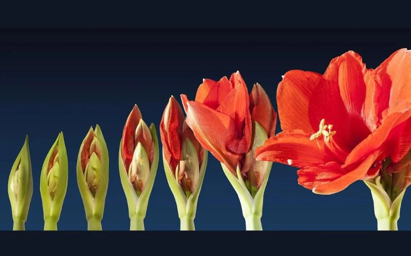 know the meaning of what is time lapse photography