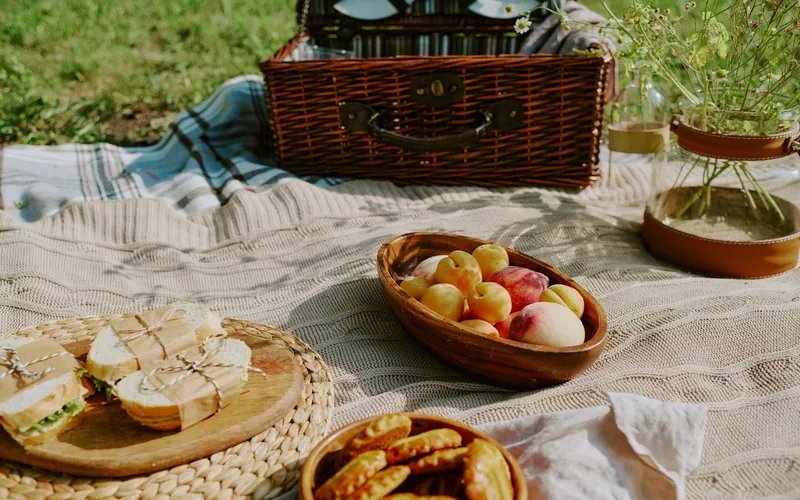Aesthetics Of Picnic