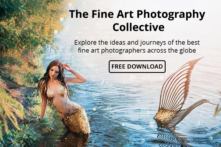 fine art collective freebie