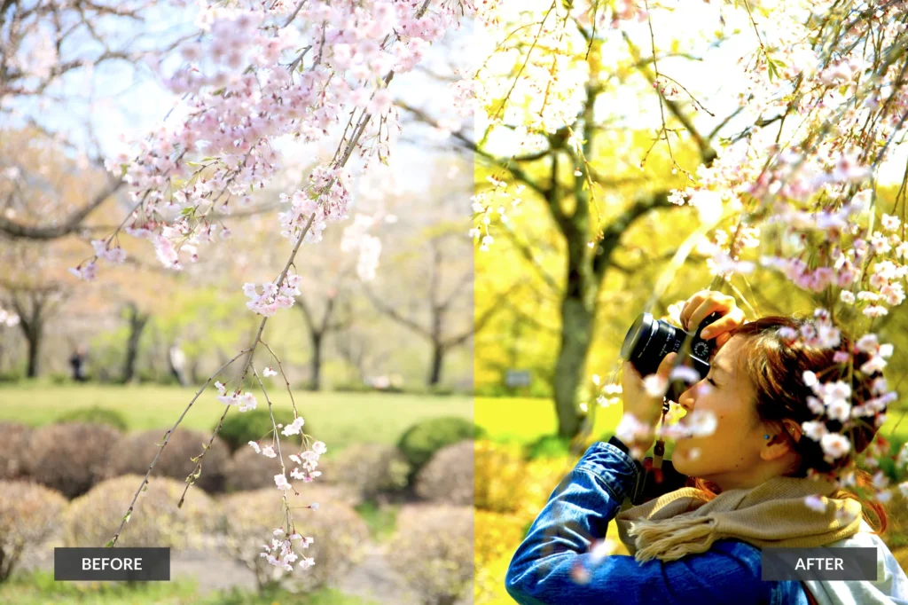 vintage effect for Photoshop