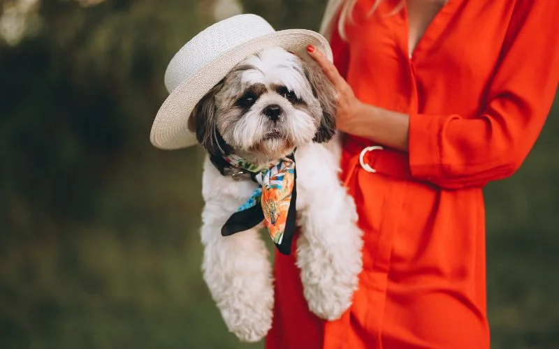 picture of a woman holding her pet