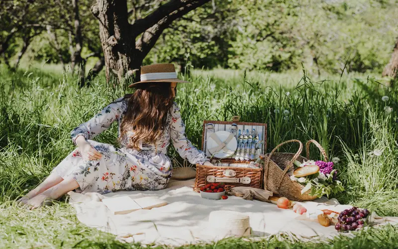 Vintage Picnic Photoshoot