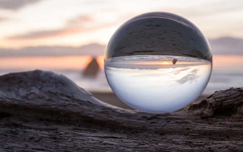 definition of form in photography