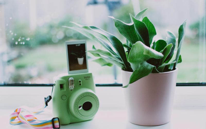 polaroid photo ideas feature image