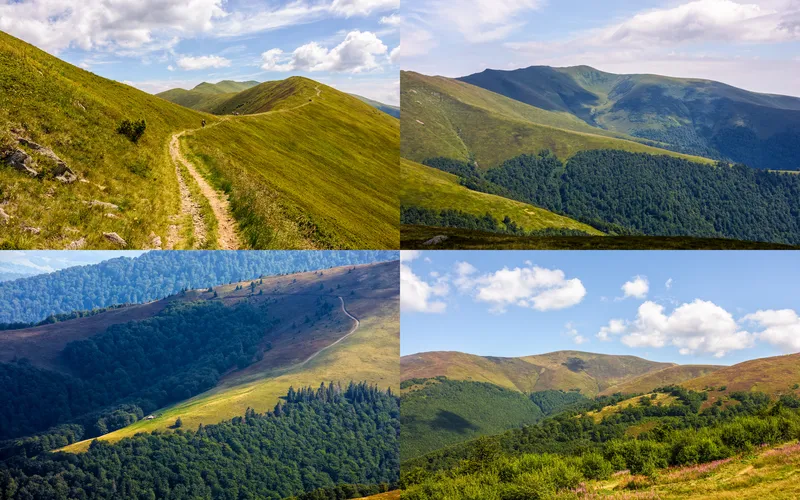 collage of landscape images