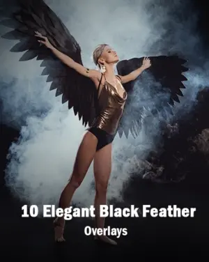 10 elegant black feather overlays featured image