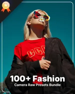fashion presets, best photography add ons
