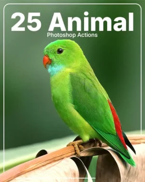 25 Animal Photoshop Actions