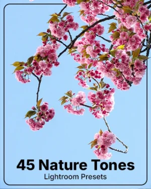 Nature Tone Lightroom Presets featured image