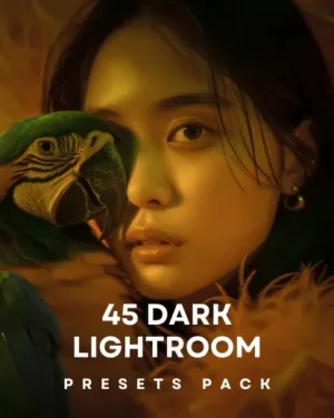 Darken-Lightroom presets-Feature