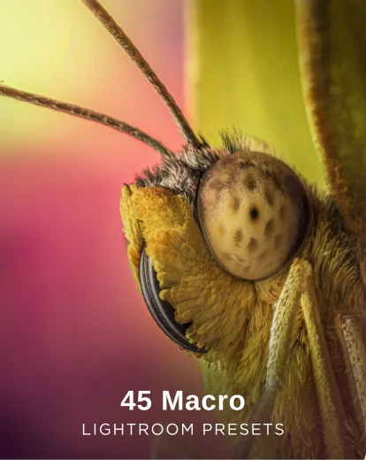 45 macro photography lightroom presets featured image