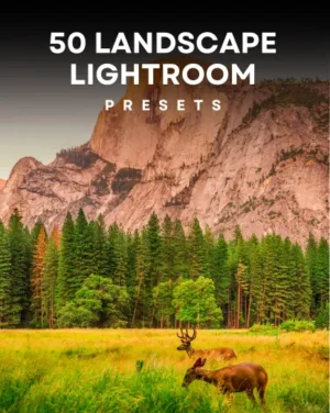 lightroom bundle, 50 Landscape Lightroom Presets- Featured Image