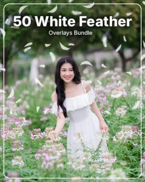 Best White Feather Photoshop Overlays, best photoshop resources