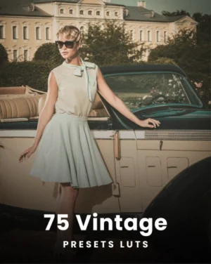 75 Vintage Presets LUTs featured image