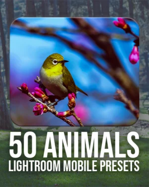 animals LR mobile presets