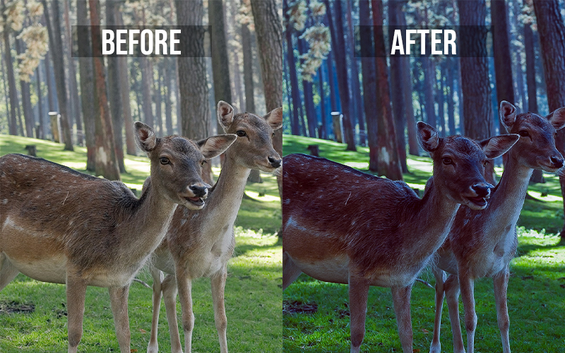 before after effect image