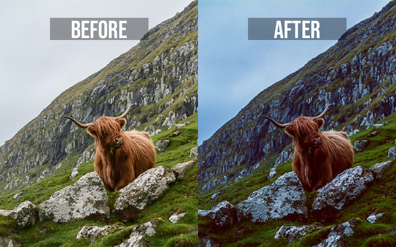 50 Lightroom Mobile Presets