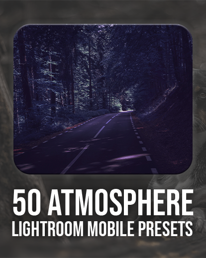 ATMOSPHERE - 50 Lightroom Mobile Presets