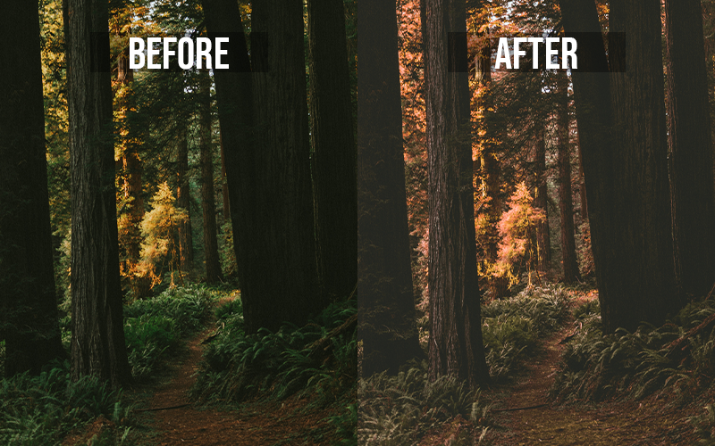Dreamlike Atmosphere Lr Presets