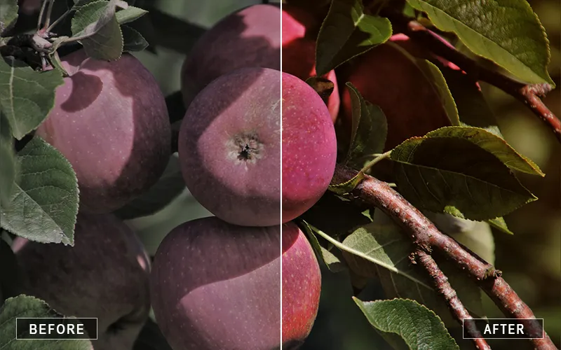 Bright Photoshop Actions