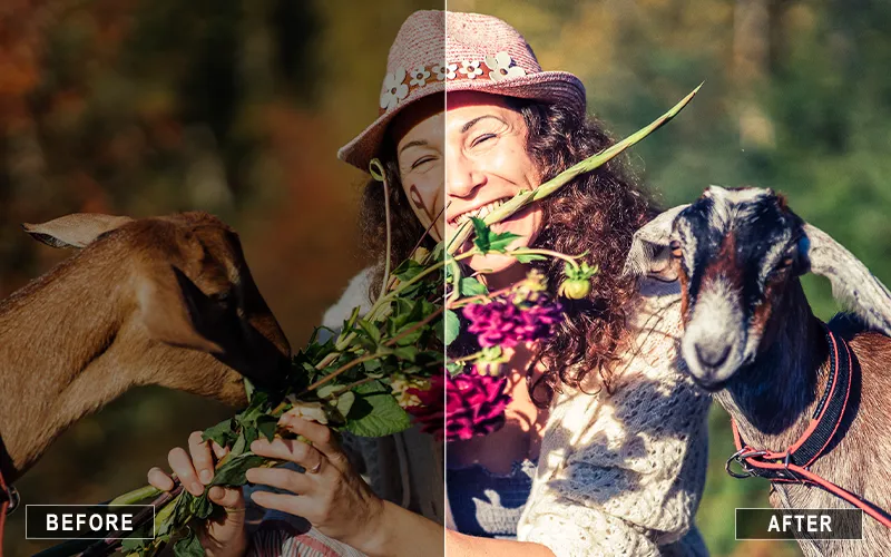 animal color enhancement presets, animal bokeh presets, close-up animal presets