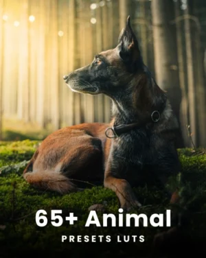 Animals - 65 Presets LUTs featured image