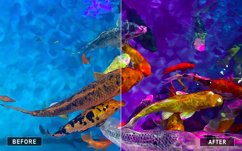aquatic animal presets, moody animal presets, vibrant wildlife presets