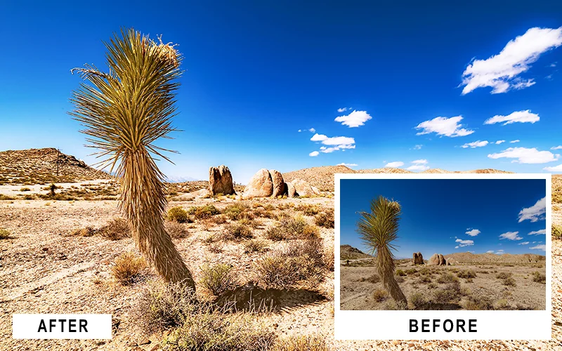 capture the beauty of arid regions