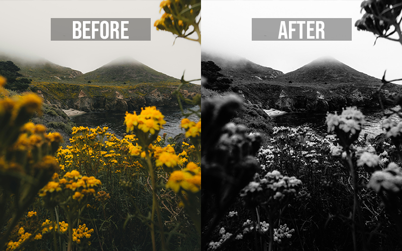 black and white mobile lightroom presets