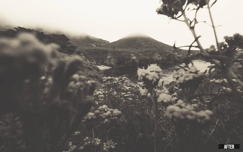 faded black and white luts, black and white luts