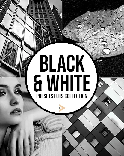 black and white preset luts