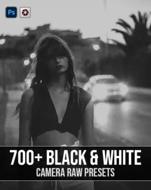 black and white camera raw presets, best photography deals, best photography add ons