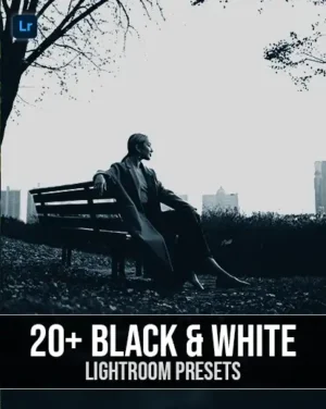 Black & White Lightroom photo essentials presets -