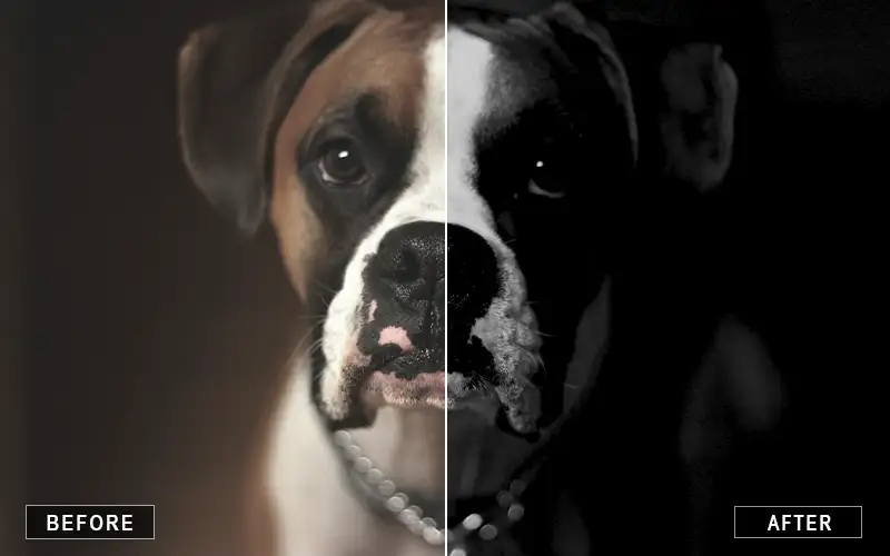 preview of before/after results