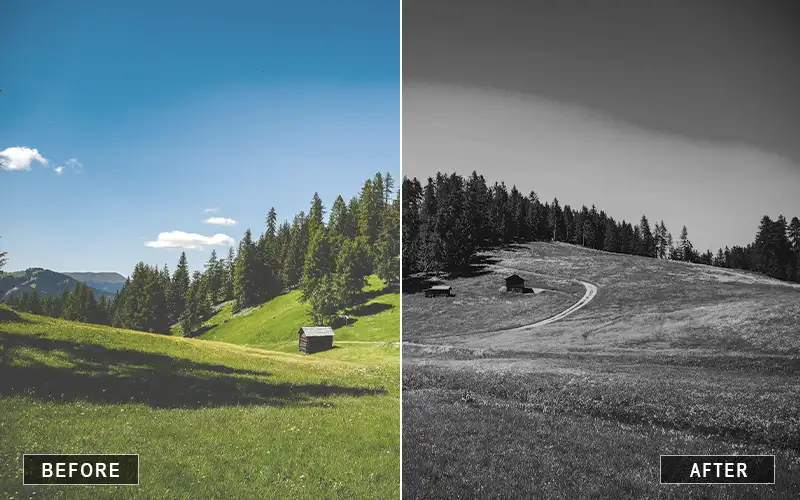 best black and white presets for Lightroom preview